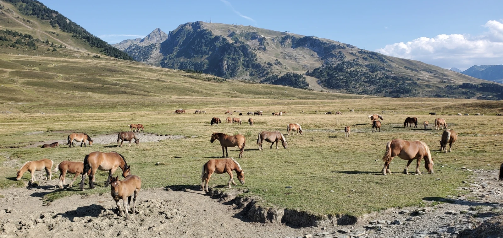 Pyrénées catalanes – recouvrance