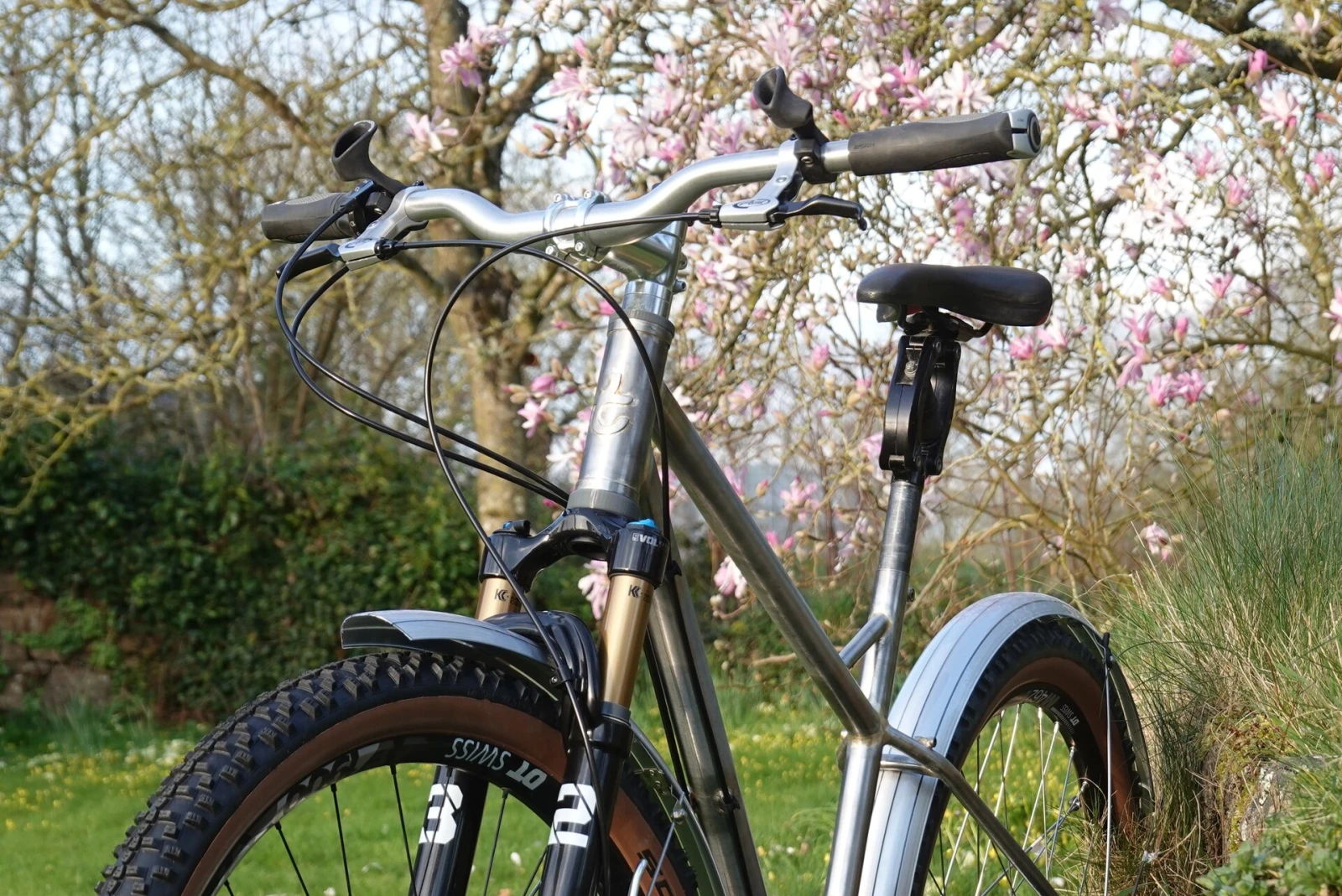 La « Mule » La Tangente de Michel