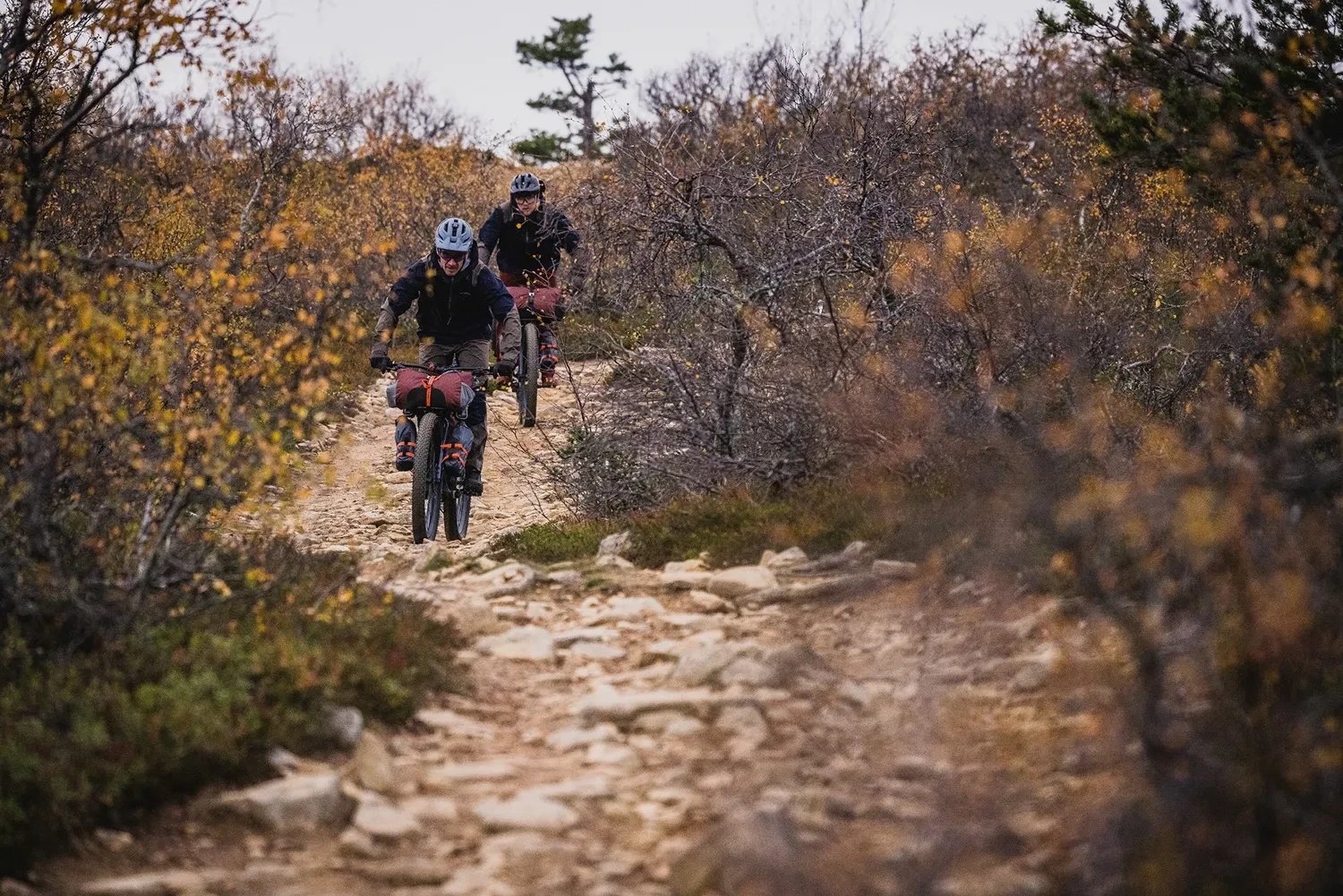 Kona Unity : la chance sourit aux audacieux