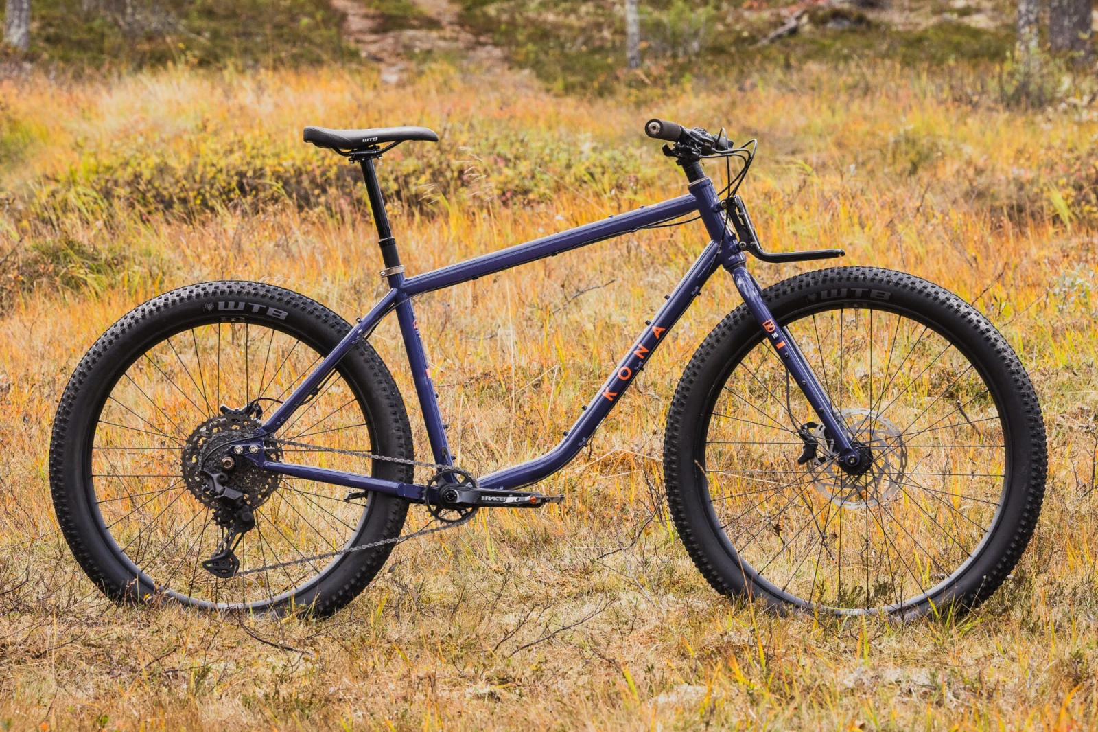 Kona Unity : la chance sourit aux audacieux